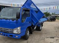 2008 Isuzu Elf Dump Truck